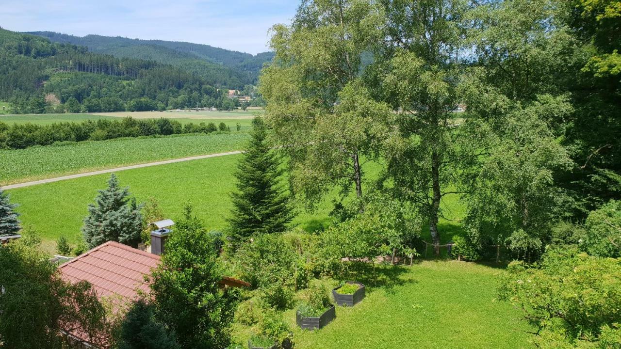 Silberkoenig Schwarzwald Hotel & Restaurant Ringhotel Gutach im Breisgau ภายนอก รูปภาพ